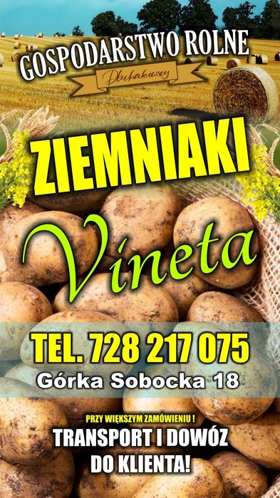Ziemniaki VINETA PROSTO Z POLA ! ! ! od Producenta ! ! !