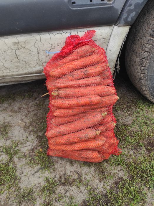 Sprzedam Marchew buraki ziemniaki odpadowe dynie