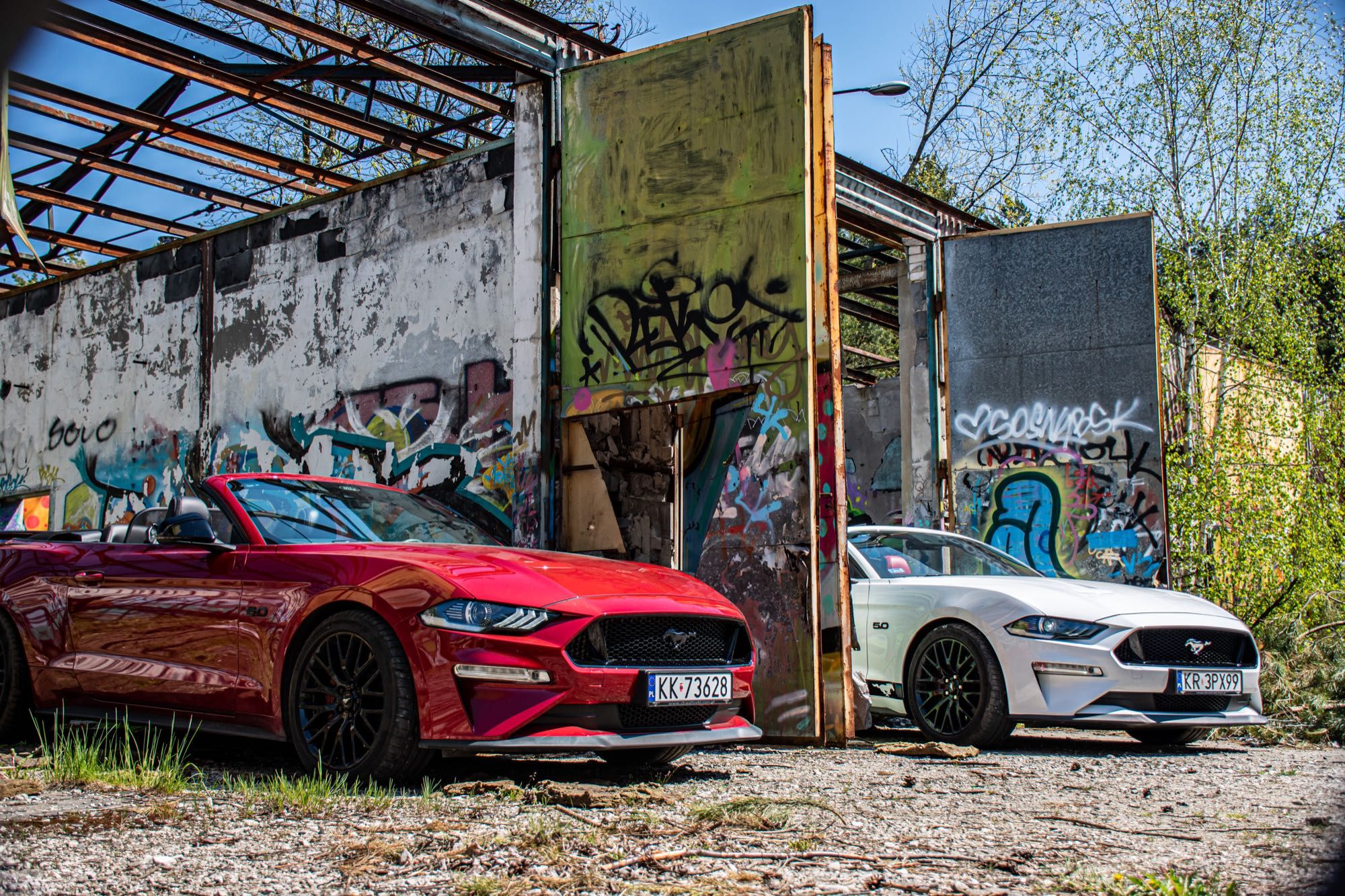 Ford Mustang GT 5.0 V8 Kabriolet Katowice. Promocja - wynajem