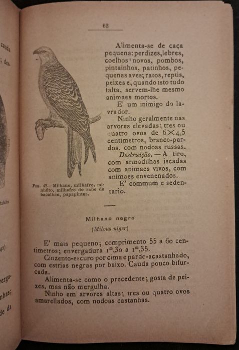 Livros de animais úteis e nocivos ao lavrador, 1926/1927.