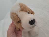 Urso de peluche super lindo