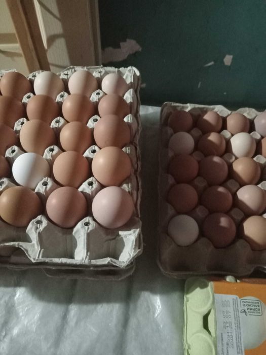 Кальцый + миниралы несушки