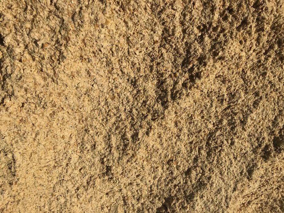 Pakowanie w rękawy kukurydzy ziarna zakiszanie mielenie gniecenie