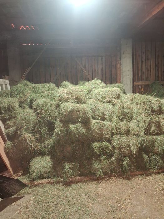 Sprzedam siano tegoroczne z pierwszego i drugiego pokosu