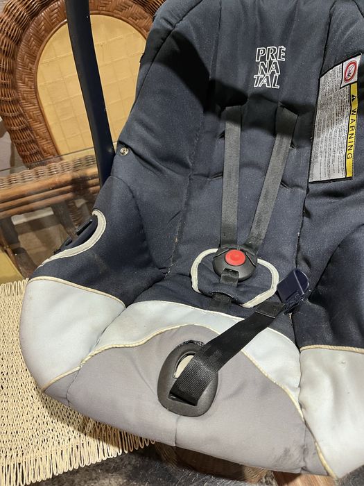 Ovo de bebé Pré natal