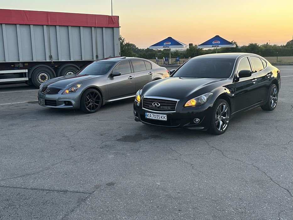 Продам финик в идеале