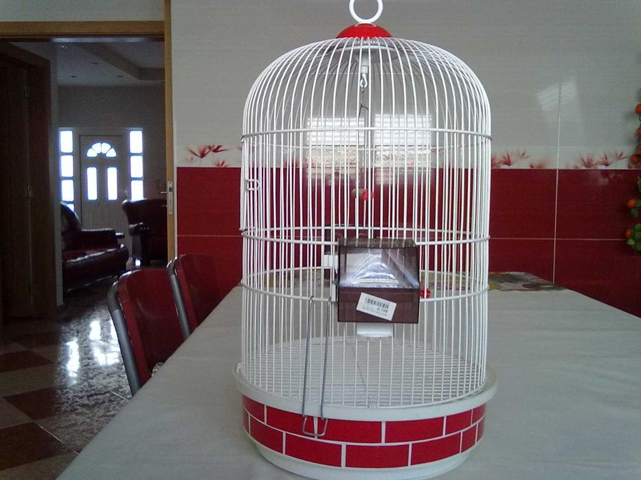 Gaiola para vários tipos de aves