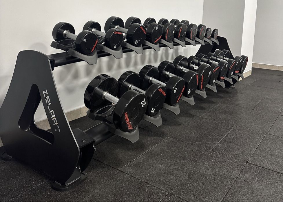 Гантели профессиональные, покрытие полиуретан. Zelart. LIFE FITNESS.