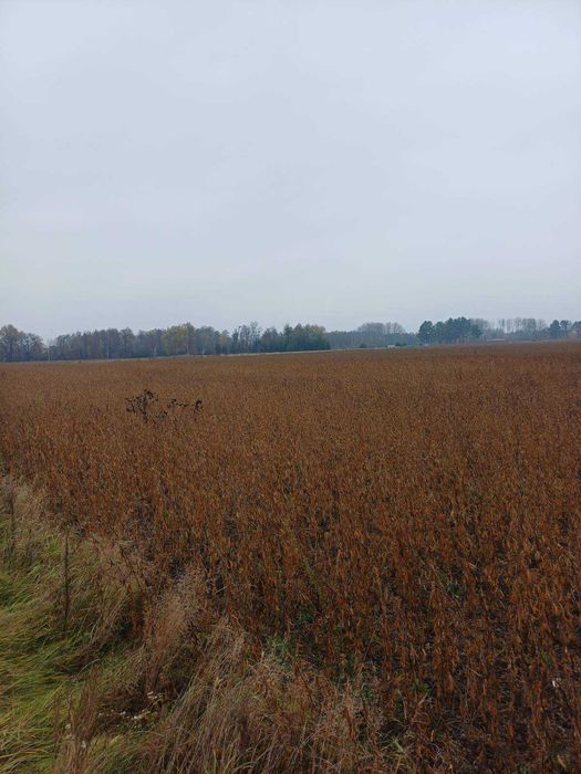 Земля сільськогосподарського призначення, площа 29.971 га. Київщина