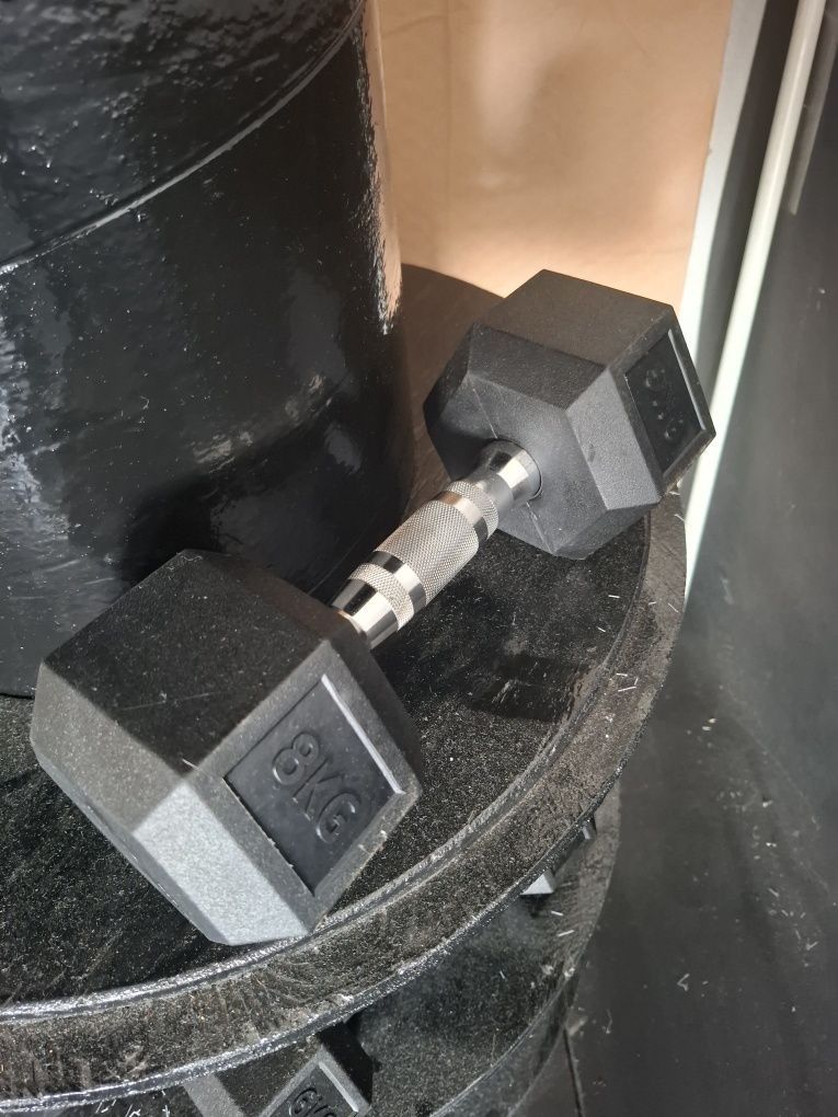 Halteres Hexagonais Novos  Individuais Titanium Strengh