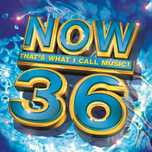Now That's What I Call Music! 36  (2CD)