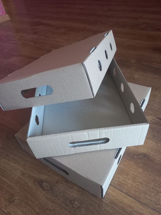 Лоток для копченої риби, м'яса, птиці