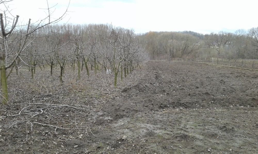 Продам будинок в с. Мелешків Гайсинського р-ну