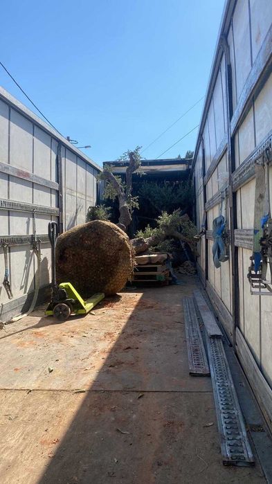Trabalhos agrícola e limpa bermas