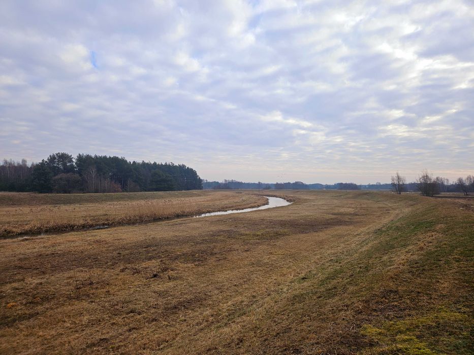 Siedlisko przy rzece Pilicy k. Koniecpola