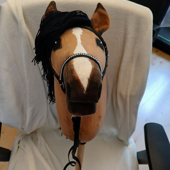 Hobby Horse A4 + gniady