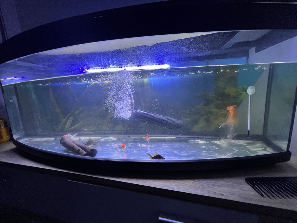 Aquario 200 litros