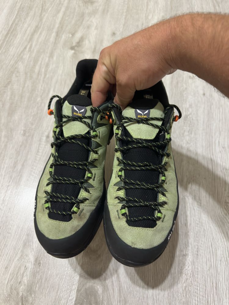 Трекінгові кросівки Salewa Alp Trainer 2 GTX
