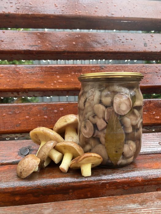 Мариновані маслята, маслюки, опеньки, підпеньки, гриби сушені г