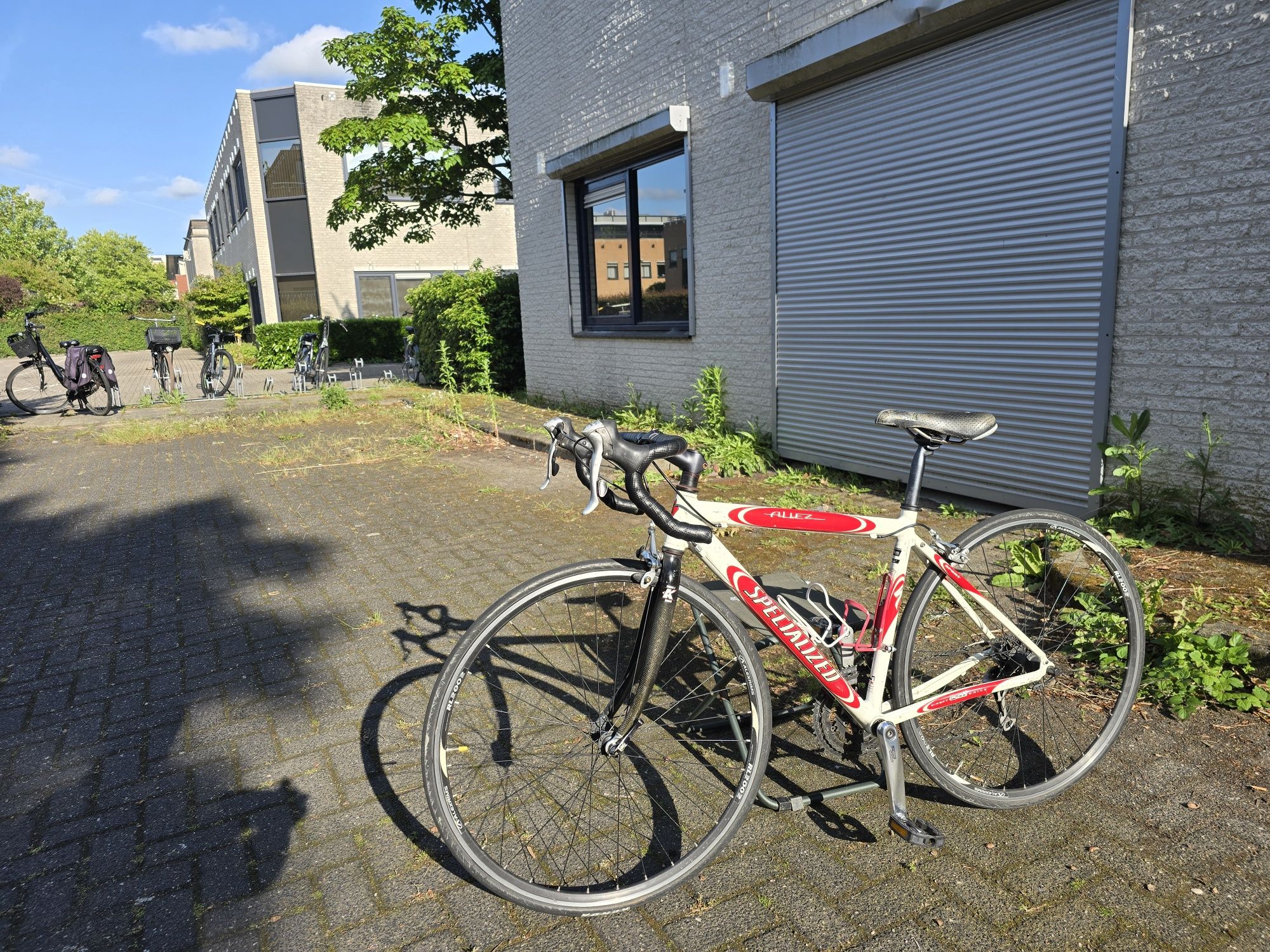 Specjalized Kolarka Aluminium Karbon