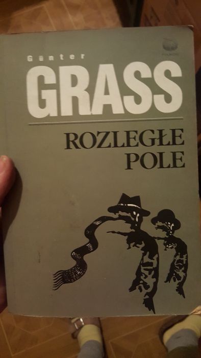 Gunter Grass - Rozległe Pole