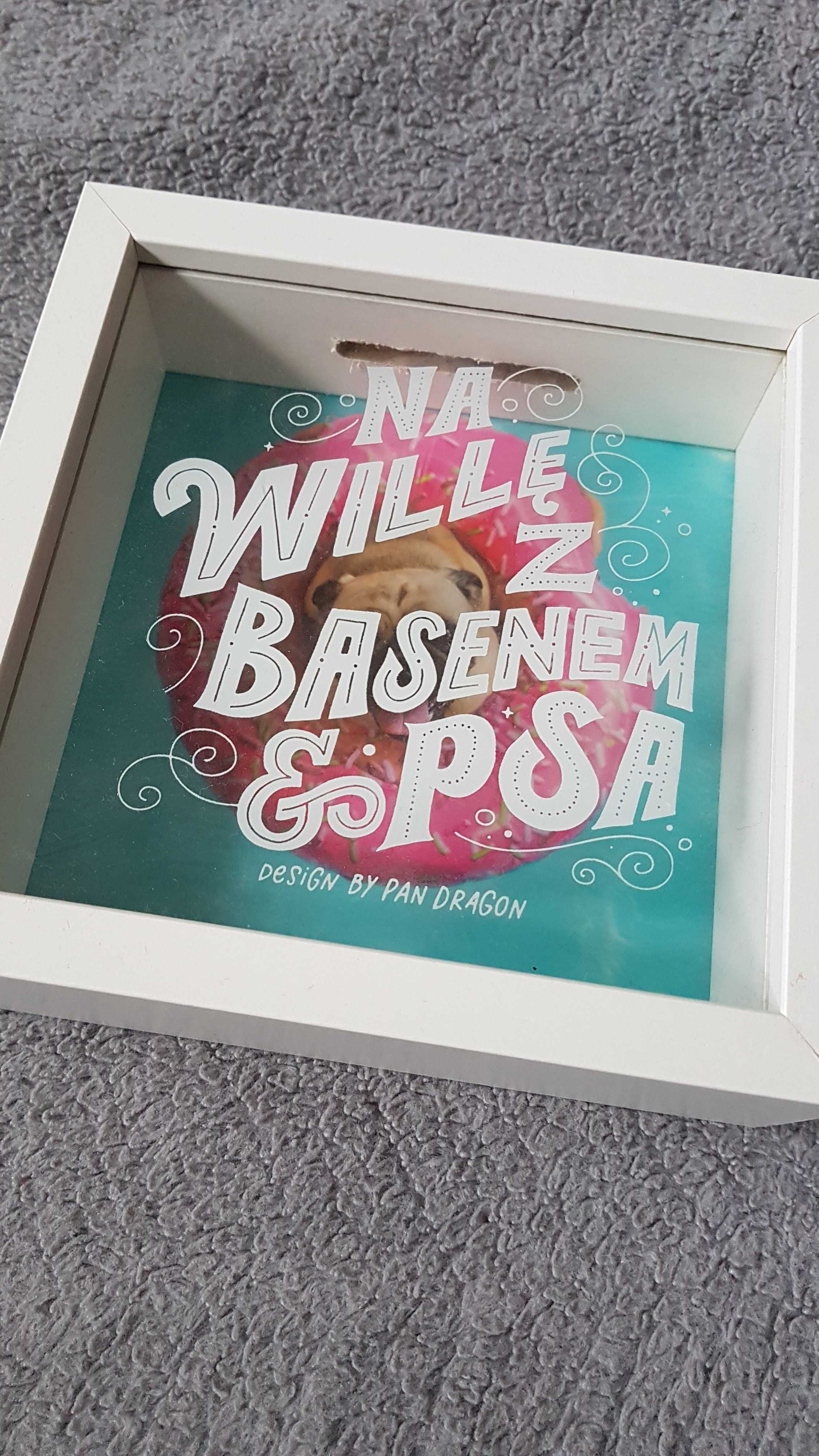 Kwadratowa skarbonka, na willę z basenem i psa, Pan Dragon
