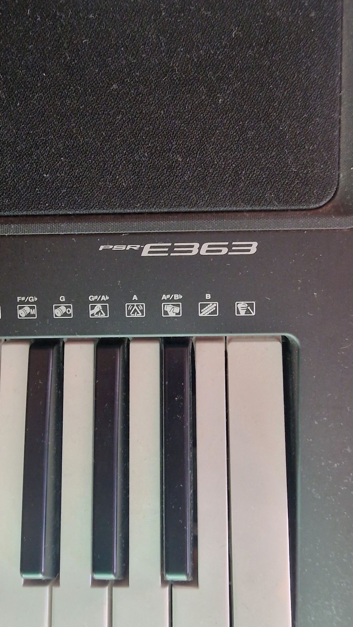 Yamaha Teclados portateis
