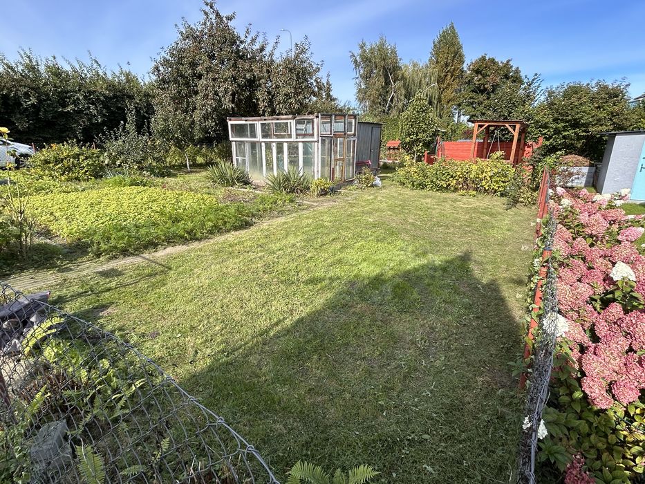 Działka ROD Cukrownik Pruszcz Gdański 300m2