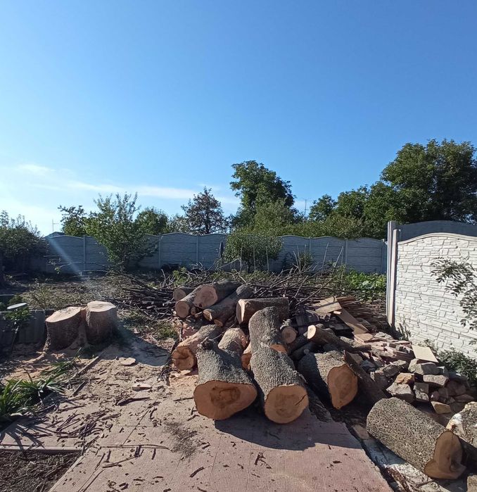 Зрізати дерево. Спиляти дерево. Обрізати дерево. Висотні роботи