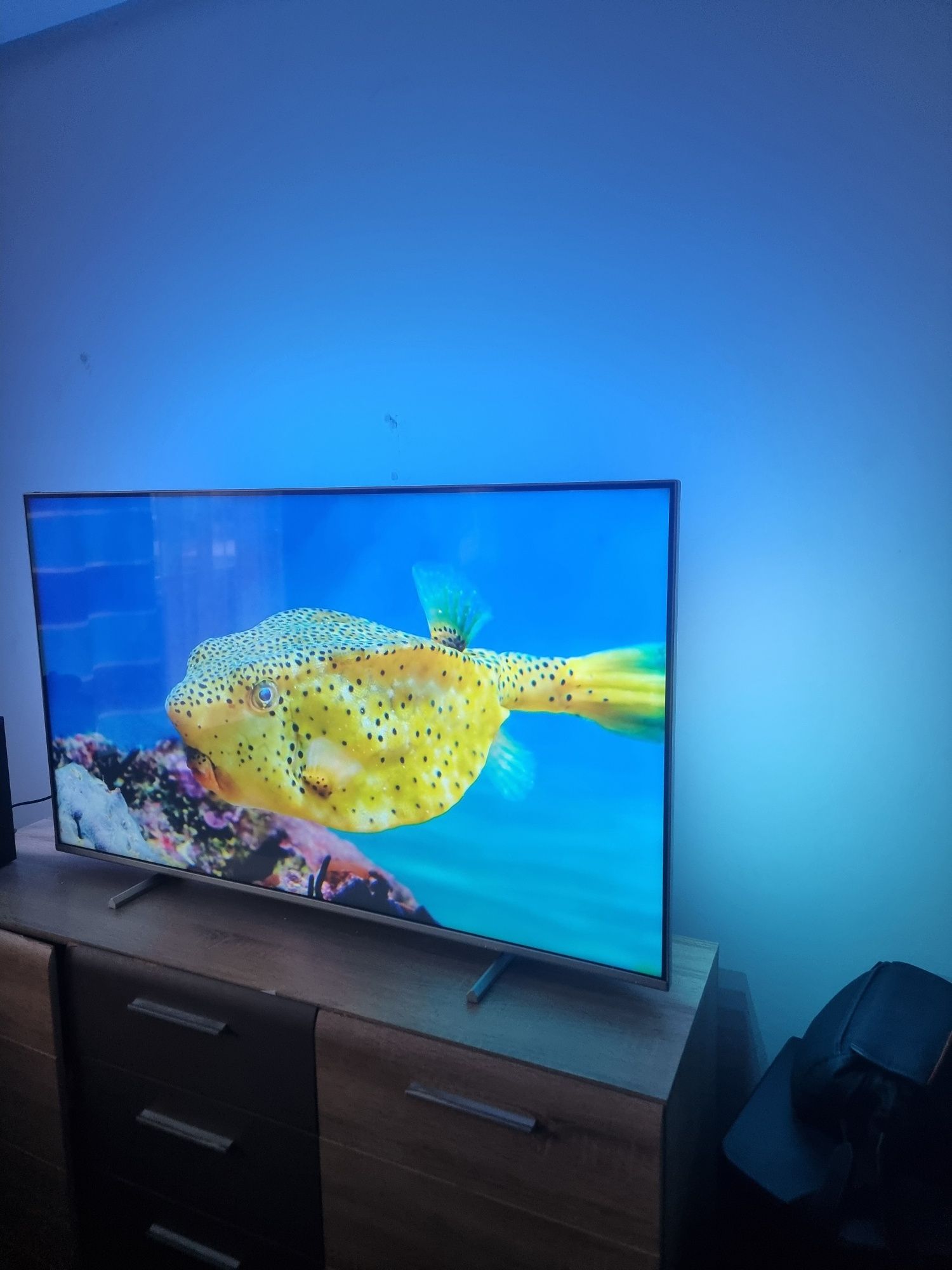 PHILIPS Ambilight 55 cali Gwarancja!