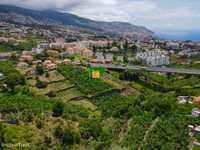 Terreno - Santo António - Funchal