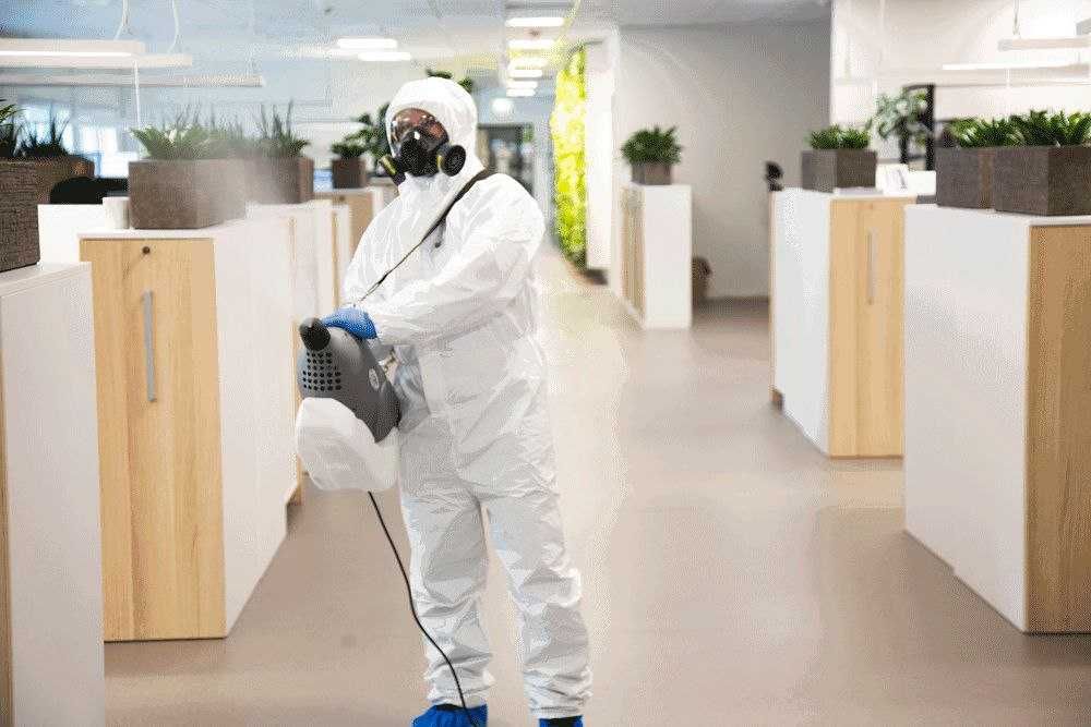 Обработка от комаров, тараканов. Уничтожение крыс, мышей, клопов.