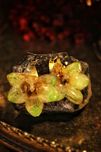 Brincos Orquídeas Naturais Biojoias