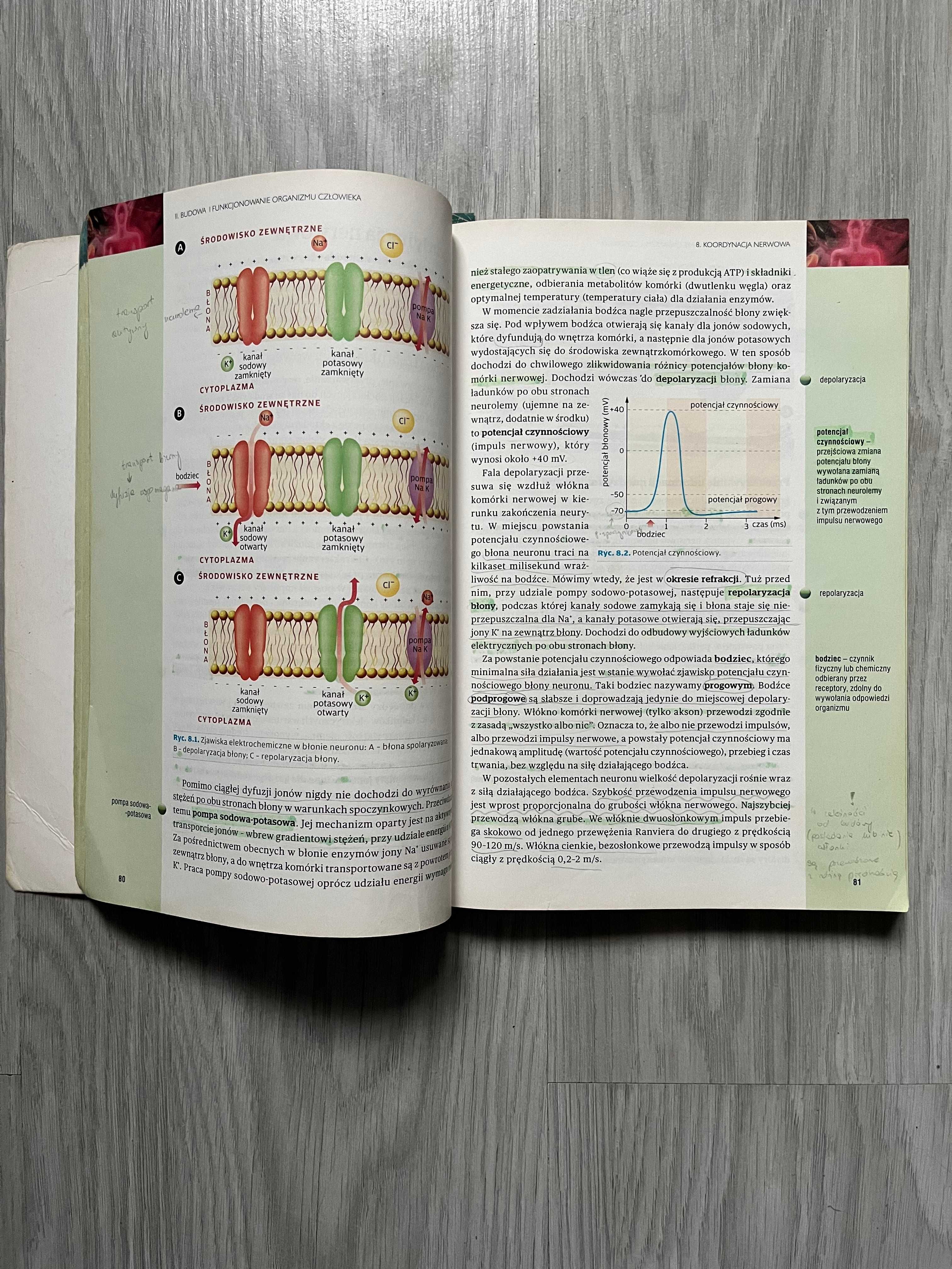 Biologia 2 zakres rozszerzony Operon