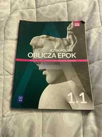 Język polski oblicza epok 1.1 WSiP