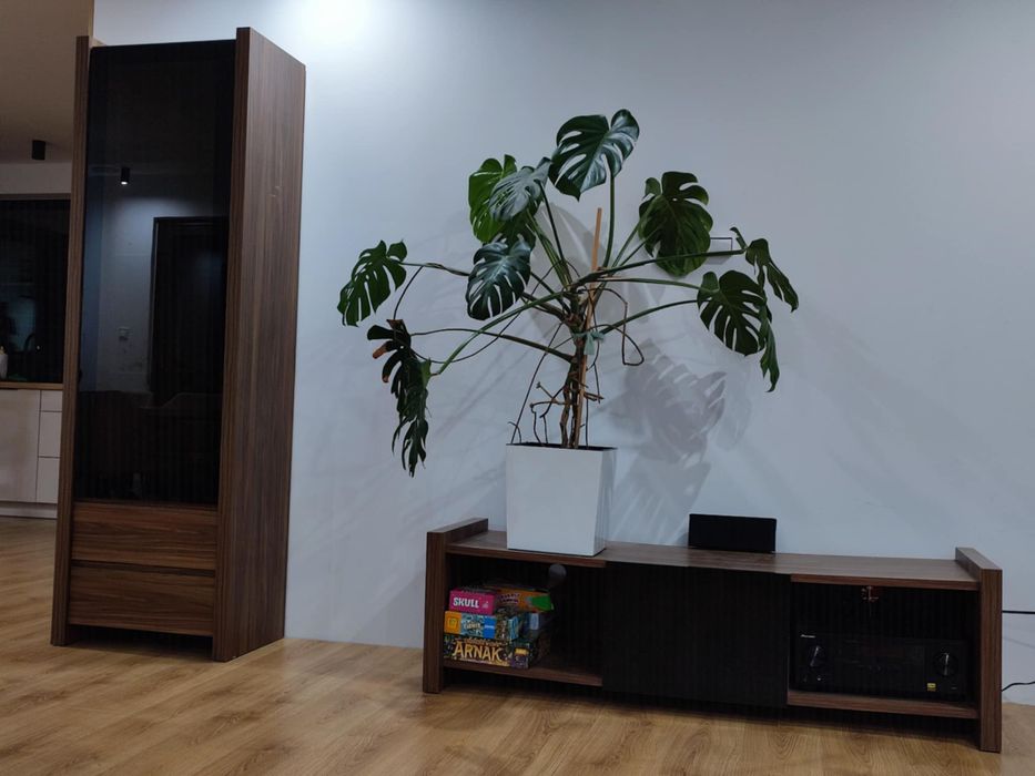 Zestaw mebli do salonu witryna szafka rtv venom