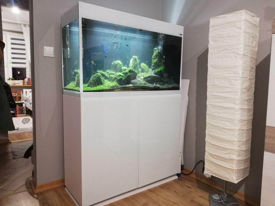 Kompletne Akwarium Aquael Glossy 100ST + Całe Wyposażenie