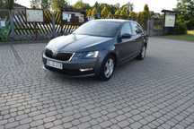 Skoda Octavia 2.0 TDI,DSG, Salon Polska, I własciciel
