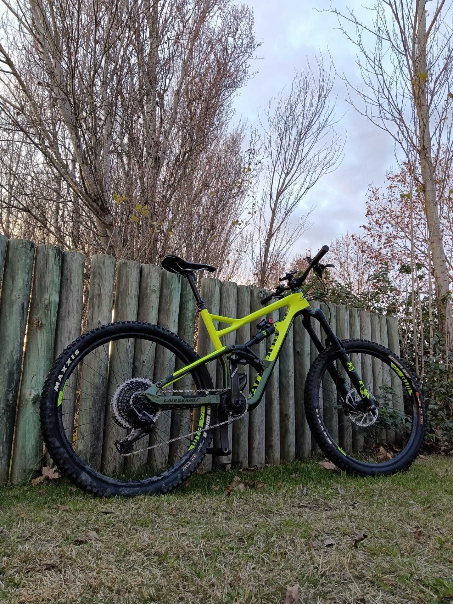 Cannondale JEKYLL Carbono L