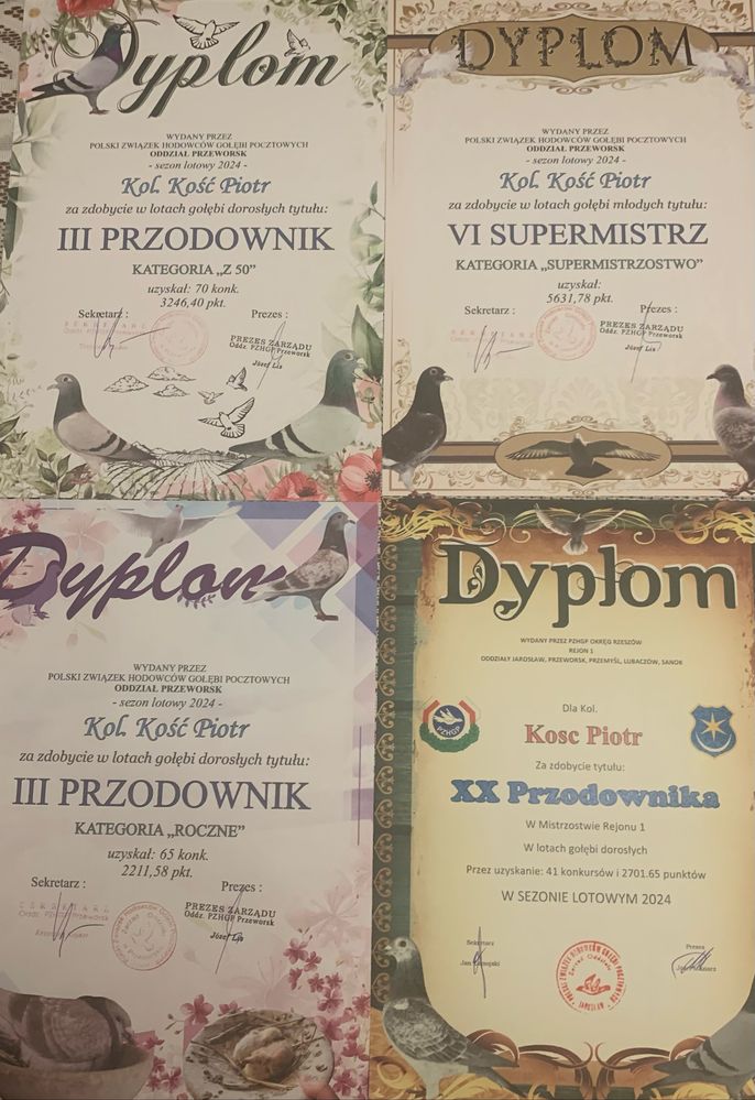 Młode 2025 młodziki pocztowe