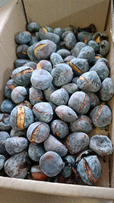 Vendo forno de assar castanhas