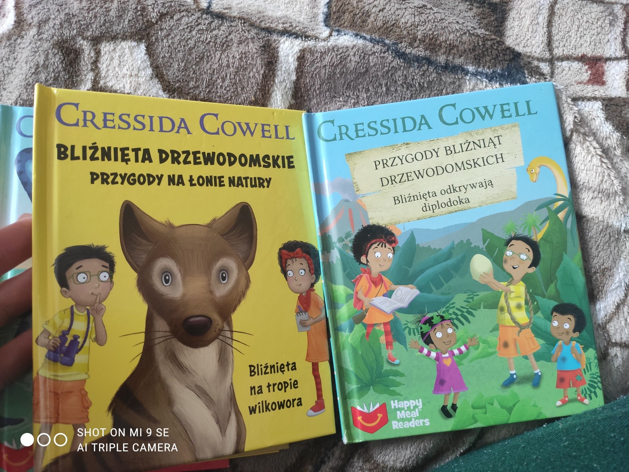14 Książeczek książki dla dzieci Gressida Gowell bliźnięta Drzewodoms