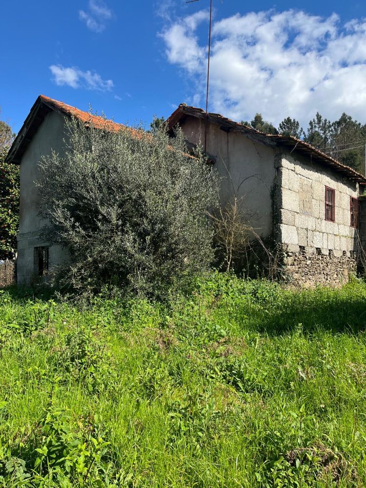 Moradia para restauro com logradouro, pinhal e eucaliptal