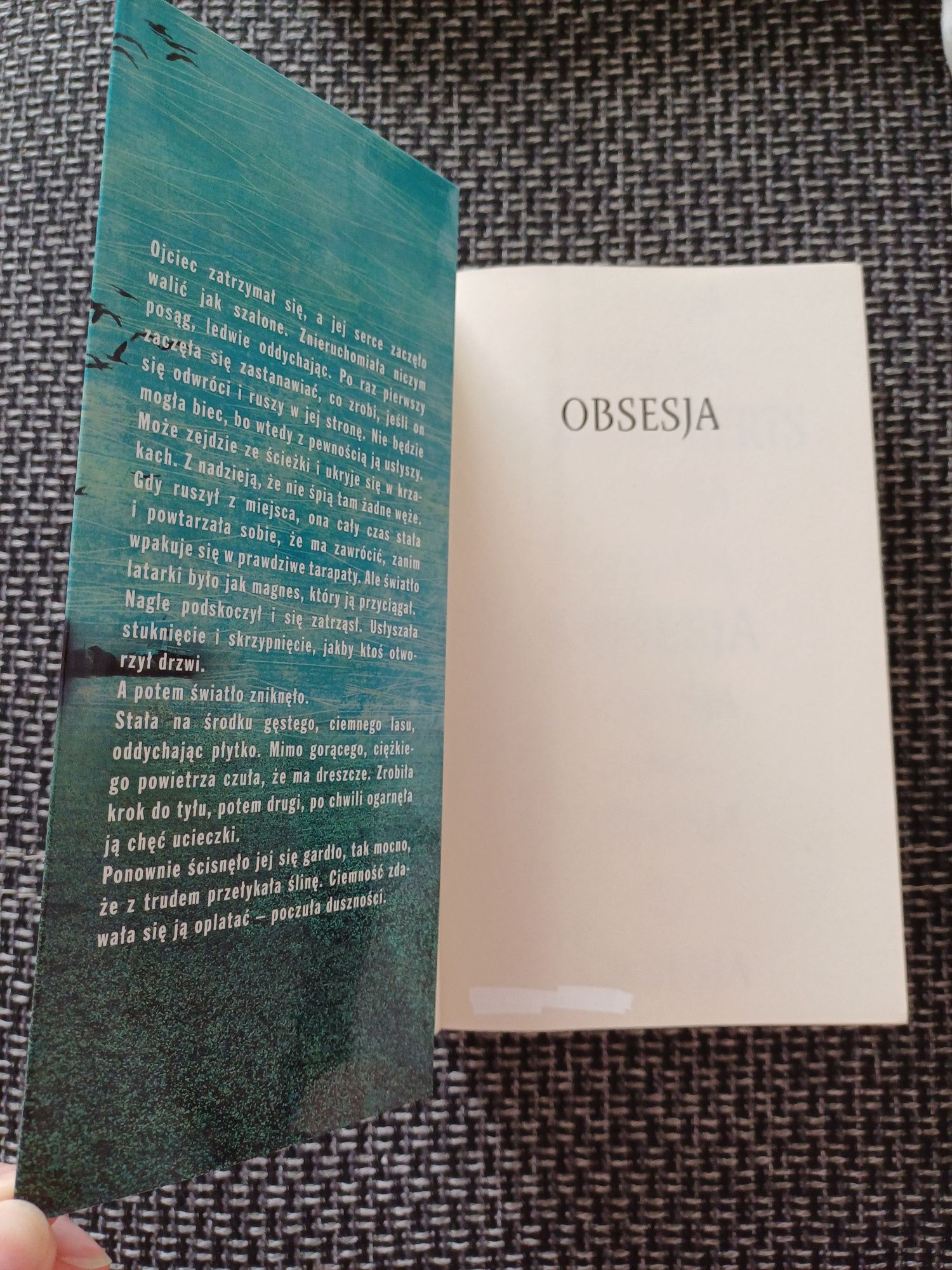Obsesja Nora Roberts, romans thriller kryminał