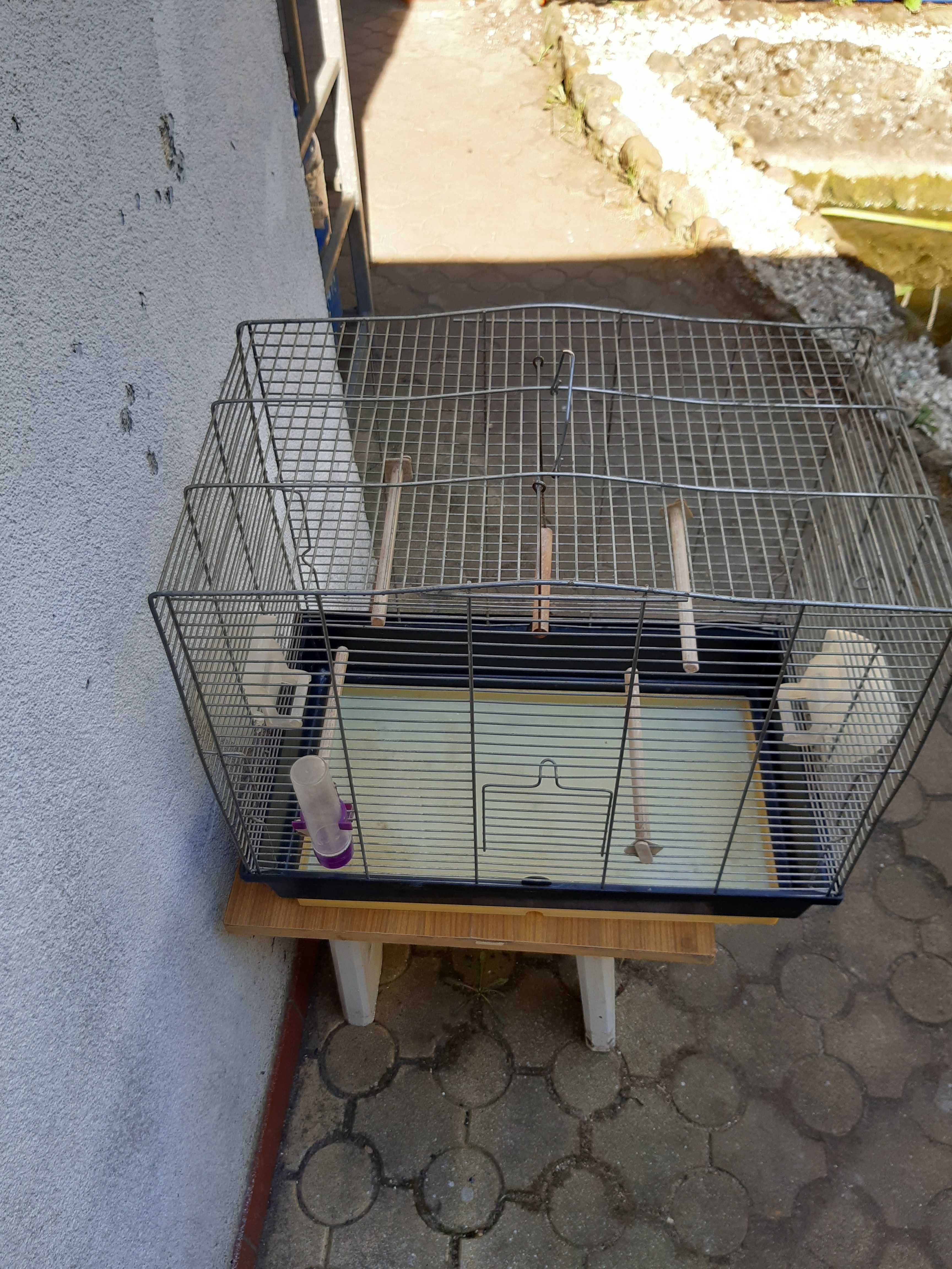 Klatka dla kanarka