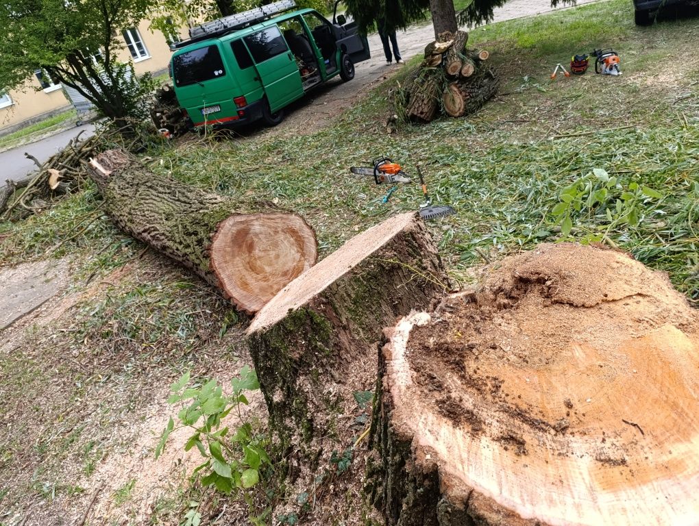 Wycinka drzew. Rebak do galezi. Warszawa okolice