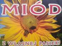 Miód Wielokwiatowy spadziowy lipowy naturalny z własnej pasieki