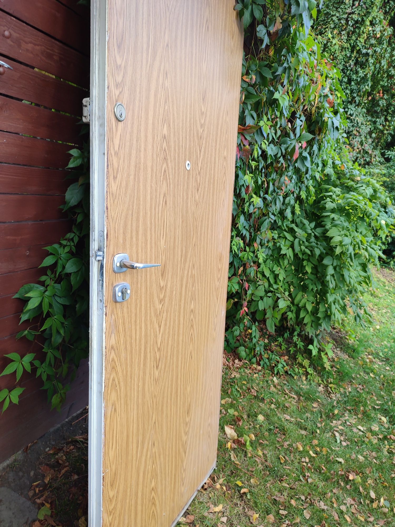 drzwi wejściowe drewniane 80