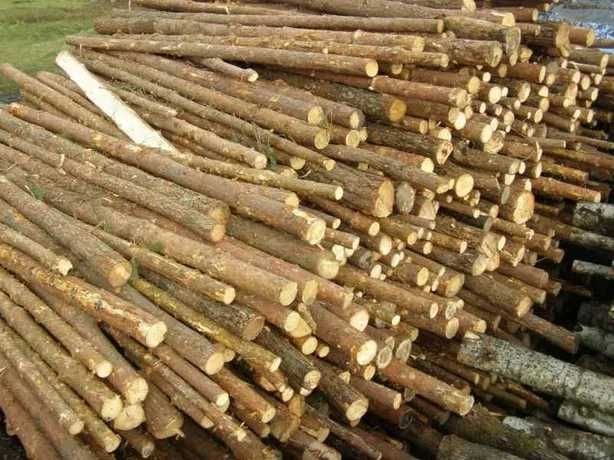 Drewno sosnowe - opałowe