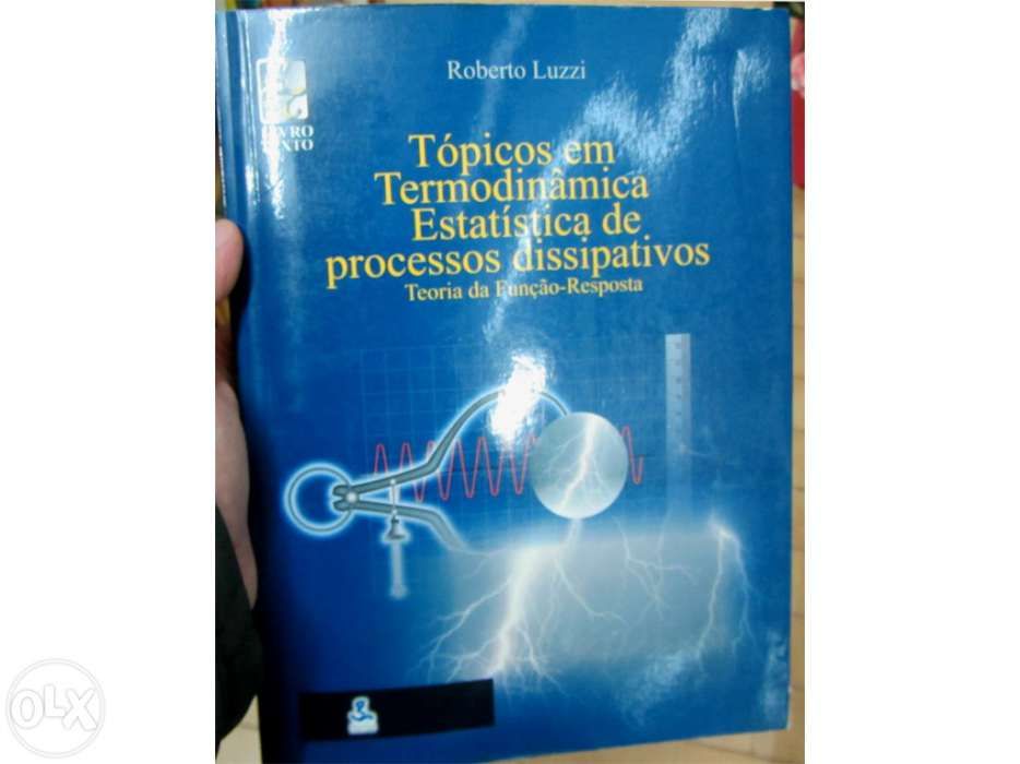 Tópicos em Termodinâmica Estatística de Processos Dissipativos